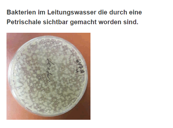 Bakterien-im-Wasser aus  Neunkirchen